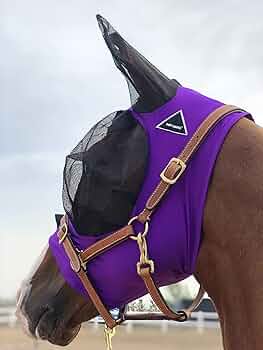 Penny - FLY HORSE  Amazon.com: Horse Fly Mask Super Comfort Horse Fly Mask